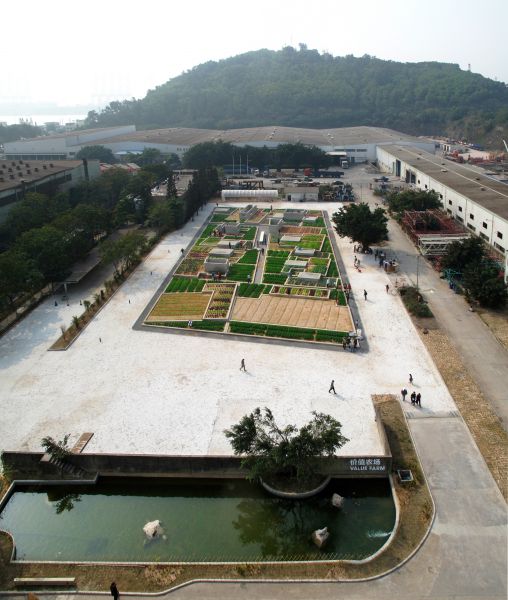 Value Farm, panoramica