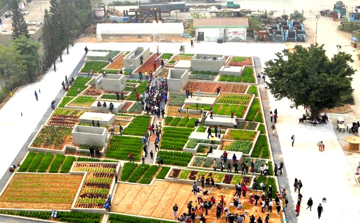 Value Farm di Thomas Chung, visione dall'alto