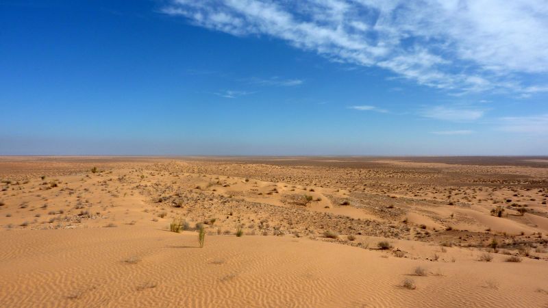 sahara