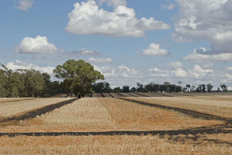 Agricoltura, visione di un campo