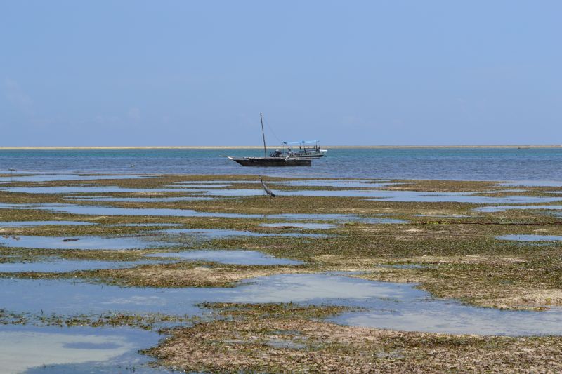 Bassa Marea