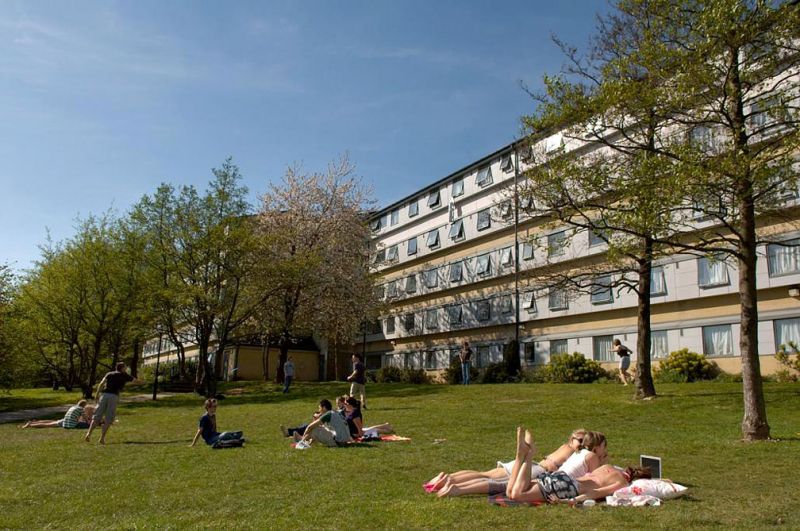 La University of Bath, sede del progetto su caff&eacute; e biodiesel, &egrave; tra le pi&ugrave; rinomate del Regno Unito