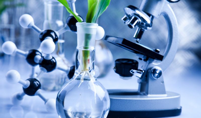 Biome Bioplastics