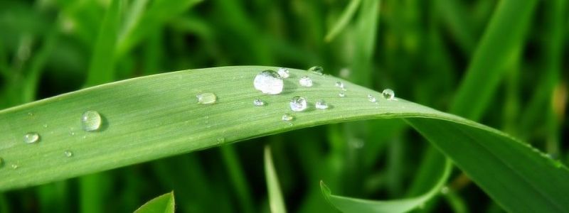 Biome Bioplastics