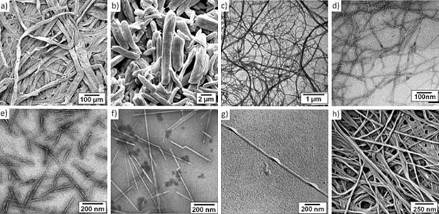 Nano fibrille di cellulosa