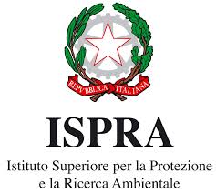 report sull'ambiente