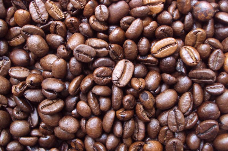 Biofuel dai fondi di caff&egrave;