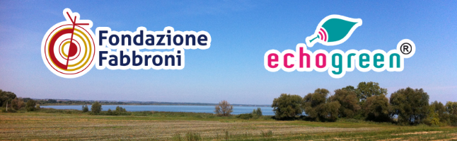 manifestazione
