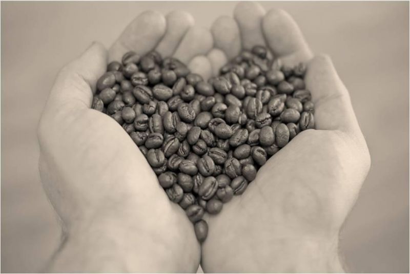 Biodiesel dai fondi di caff&egrave;