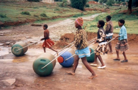 Hippo Water Roller