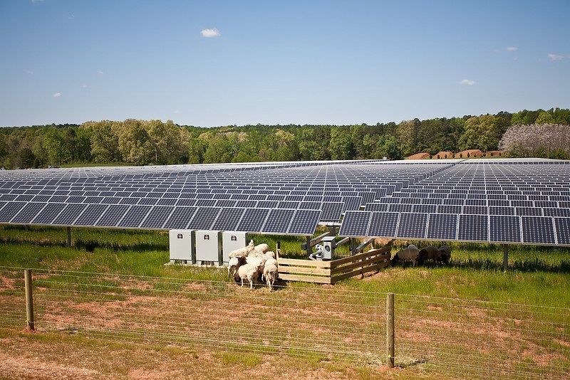 Solar Farm Solar Farm