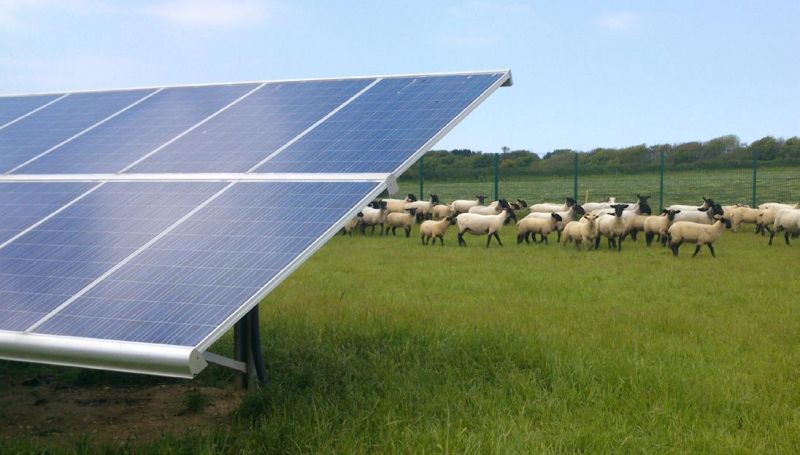 Solar Farm Solar Farm