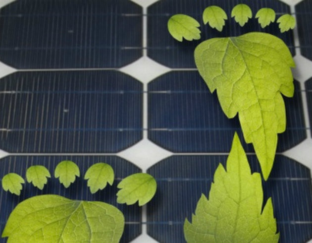 Fotovoltaico che integra il processo della fotosintesi
