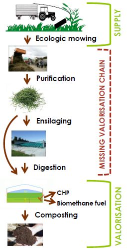 grass to green gas