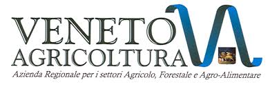 efficienza energetica