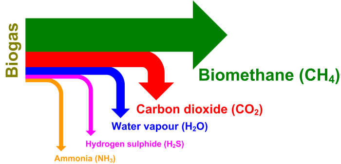 forum biogas