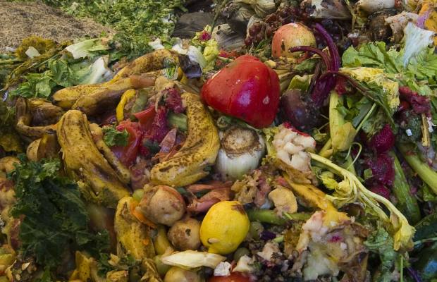 Il biometano si produce dalla fermentazione di sostanze organiche all'interno di impianti chiamati biodigestori