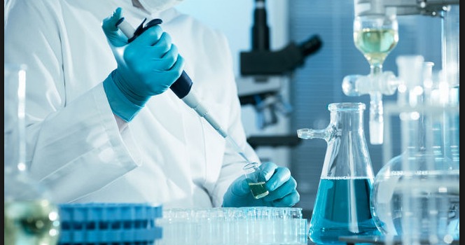 Bioplastica dagli scarti vegetali