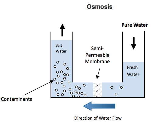 Illustrazione del processo di osmosi durante il quale l'acqua dolce passa la membrana ed arriva nella sezione dell'acqua salata aumentandone la pressione
