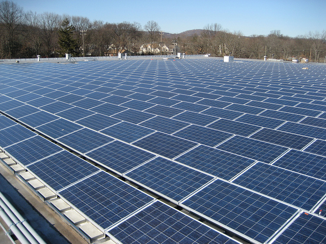 Celle fotovoltaiche