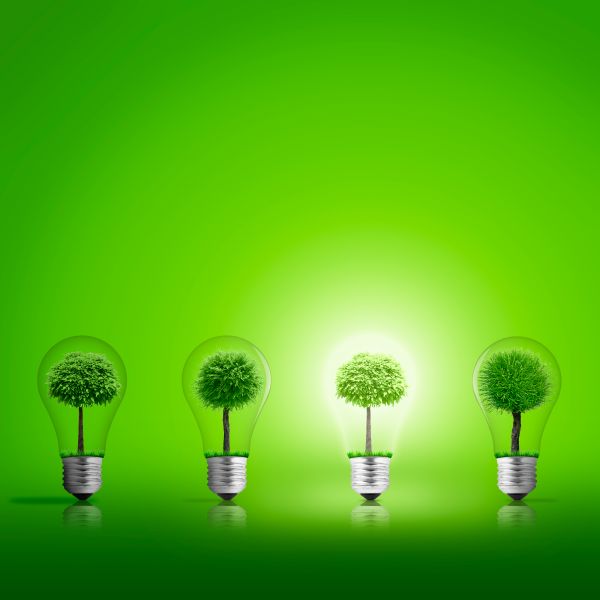 Sostenibilit&agrave; vuol dire anche conservare le fonti energetiche