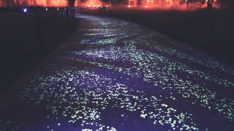 PISTA CICLABILE SI ILLUMINA AL BUIO