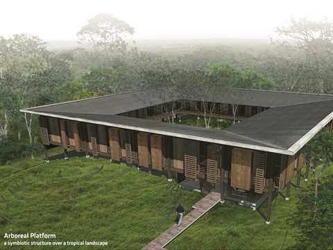 Gestione delle foreste in Costa Rica Gestione delle foreste in Costa Rica