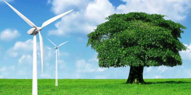 premiare le positive azioni dell'uomo nei confronti della natura