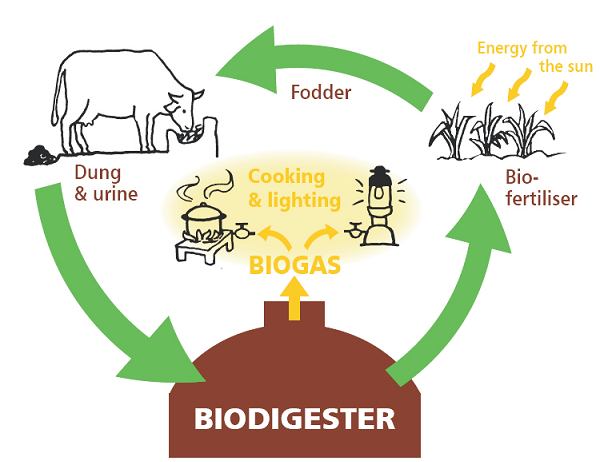compostaggio e biometano al vaglio