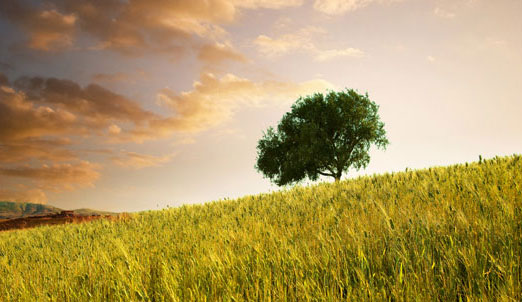 premio rivolto all'abilit&agrave; dei giovani