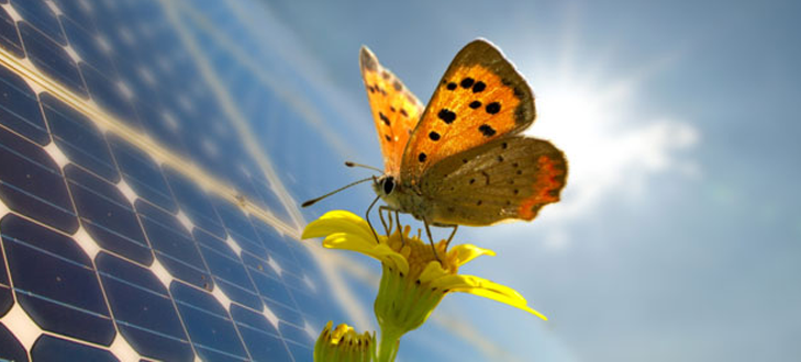 efficienza e risparmio energetico.