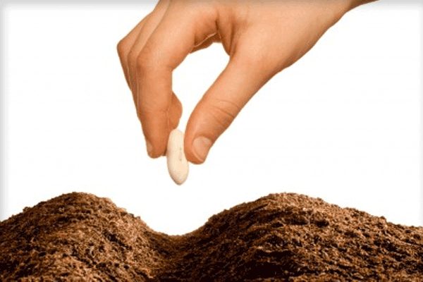al via la campagna di sensibilizzazione educativa