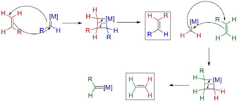 La metatesi olefinica è la reazione chimica alla base della produzione di biodiesel dall'alga Isochrysis