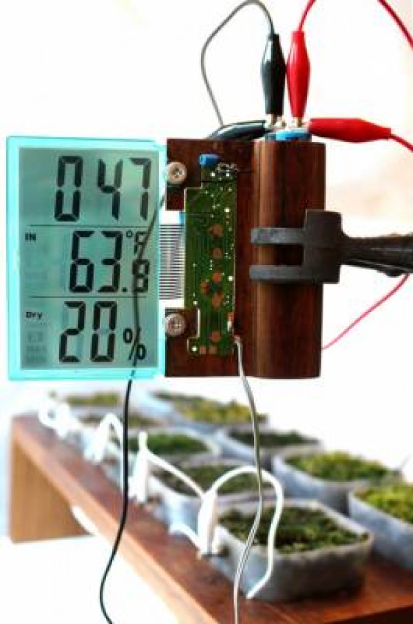 Una radio che funziona con il muschio crea un impianto solare biologico