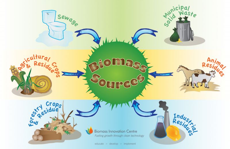 Sfruttamento delle biomasse per la produzione di energia