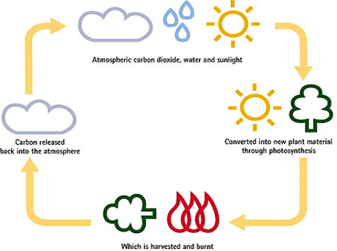Bioenergia