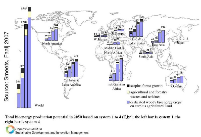 Produzione mondiale di bioenergia