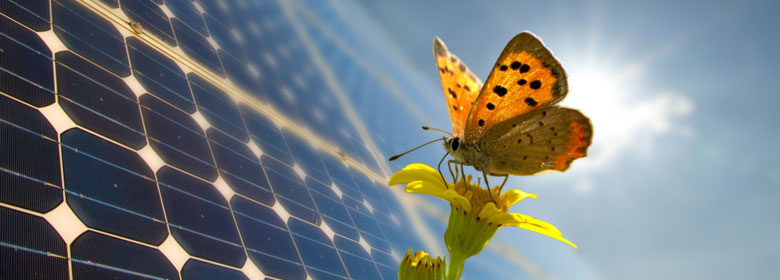 Rispetto ambientale con i pannelli fotovoltaici