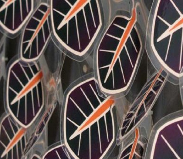 Particolare delle foglie solari Solar Ivy Le foglie Solar Ivy
