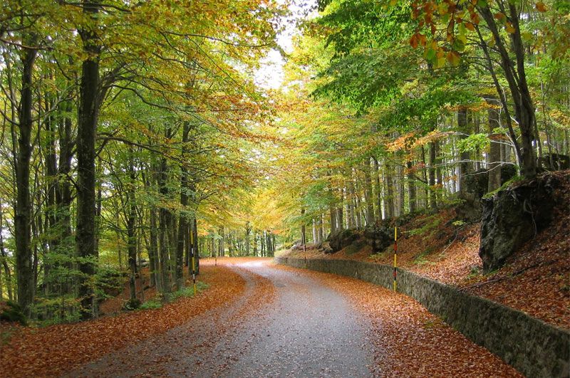 Il Monte Amiata: il territorio
