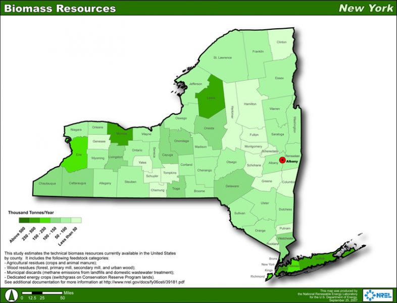 Situazione delle biomasse nello stato di NY