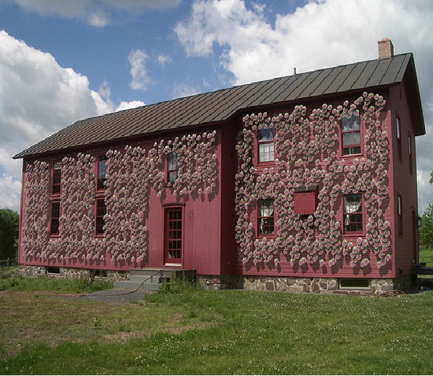 Una casa rivestita da Solar Ivy Solar Ivy su un edificio