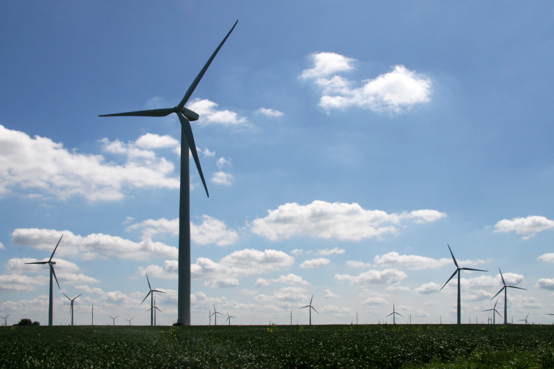 Turbine eoliche in grado di trasformare il vento in energia